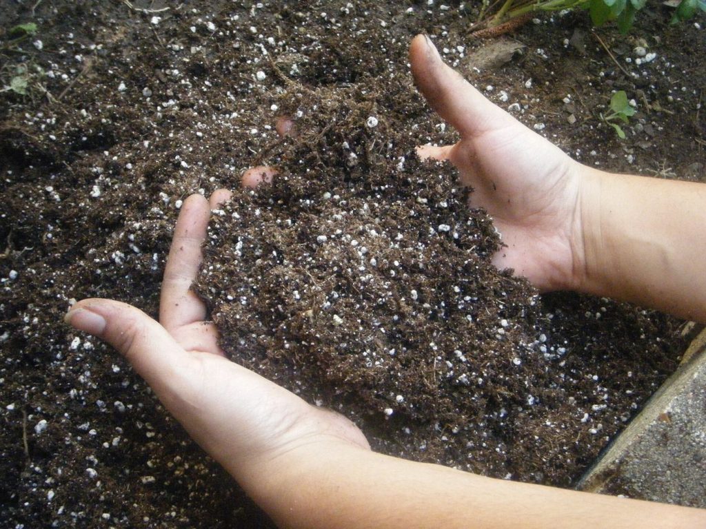 hands holding dark soil in a crop field